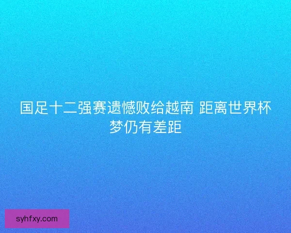 国足十二强赛遗憾败给越南 距离世界杯梦仍有差距
