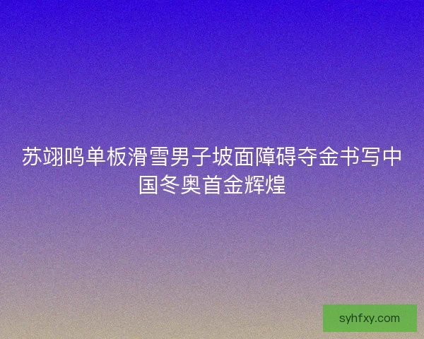 苏翊鸣单板滑雪男子坡面障碍夺金书写中国冬奥首金辉煌